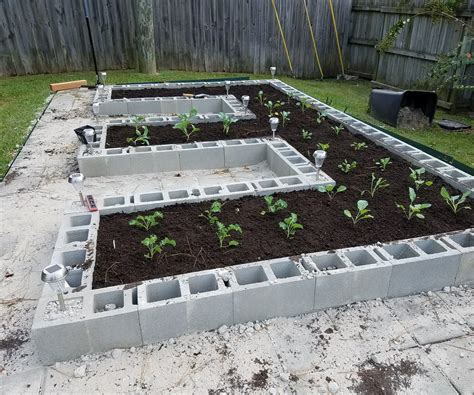 How Can You Build with Cement Block Garden Bed?