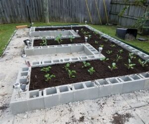Why Choose Cement Block Garden for Your Project?