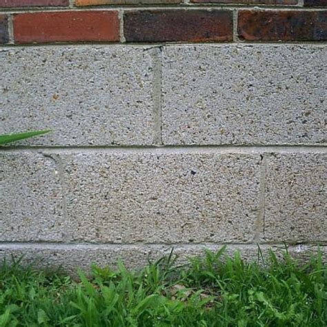 Why Choose Paint for Cement Blocks for Your Project?